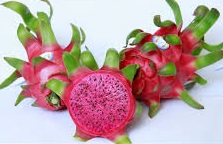 Thanh long ruột đỏ